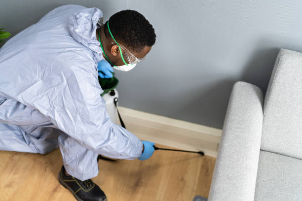 Emergency Pest Control in West Sharyland, TX